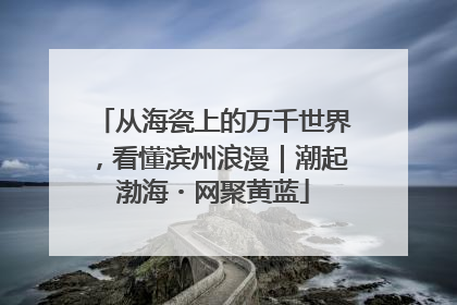 从海瓷上的万千世界，看懂滨州浪漫｜潮起渤海・网聚黄蓝